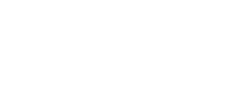 Evvo Logo